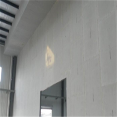 依安宁波ALC板|EPS加气板隔墙与混凝土整浇联接的实验研讨